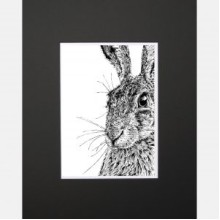 Shy Hare Limited Edition Mounted Print